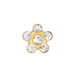 Flor Cristal